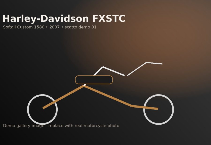 Harley-Davidson FXSTC Softail Custom 1580